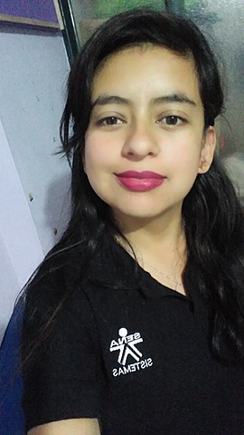 Técnico en Sistemas SENA