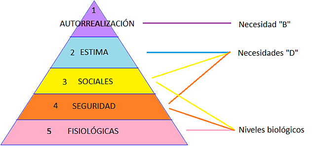 Duodécimo evento Humanismo
