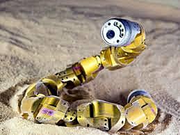 robot serpent