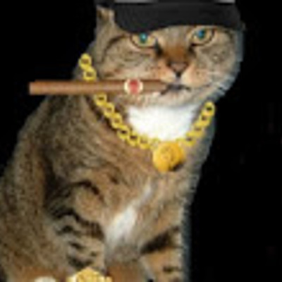 Timeline: The life of Enrique