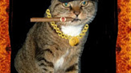 Timeline: The life of Enrique