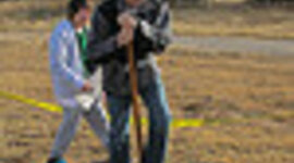 Timeline: Decomposition Dig!