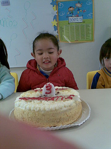 Mi primer año en la escuela