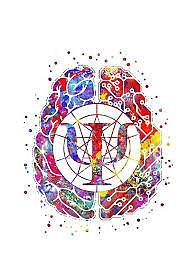 Historia de la psicología.