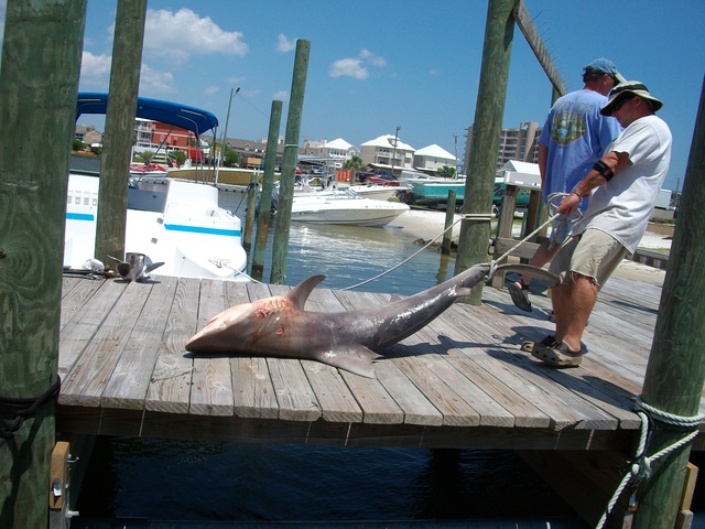 Deep Sea Fishing Trip