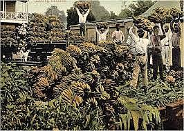 MASACRE DE LAS BANANERAS