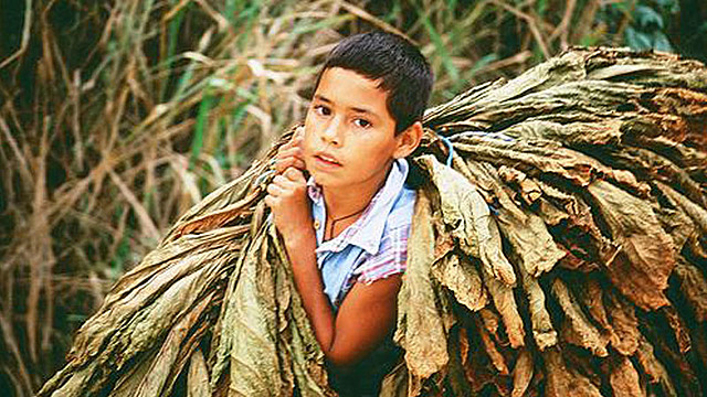 Ley sobre trabajo infantil en Italia