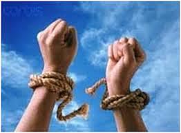 Diferenciación de la Pedagogía, respecto de otras Ciencias