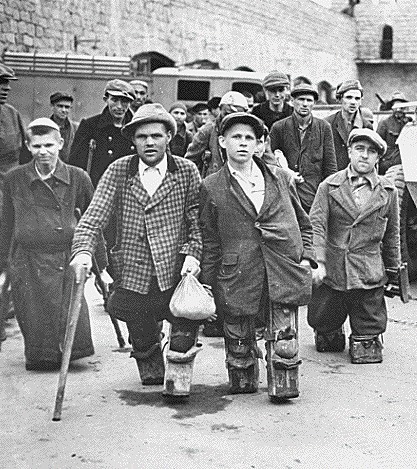 The Euthanasia Program