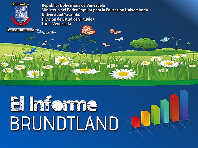 INFORMES BRUNDTLAND