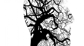 Timeline: LA PEDAGOGÍA Y LAS TEORÍAS DEL CONOCIMIENTO SIGNIFICATIVO
