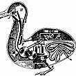 Le canard de vaucanson