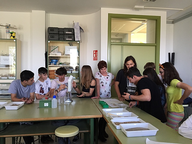 PRÁCTICAS SUELOS 1ºA