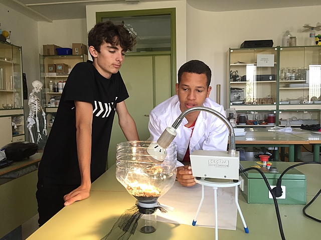 PRÁCTICAS SUELOS A COMPAÑEROS