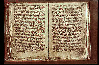 Florecimiento del Códex