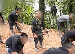 2017 NIÑOS EN EL CONFLICTO ARMADO