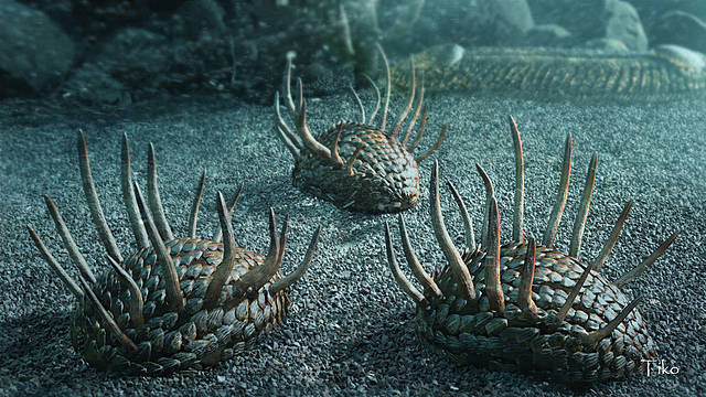 Criatures amb esquelet