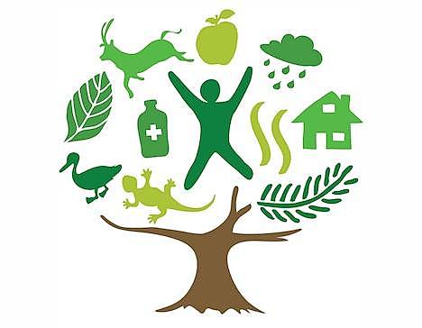 Declaración de Quebec