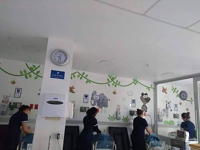 Segunda práctica profesional