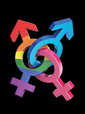 Apoyo a la población Transexual