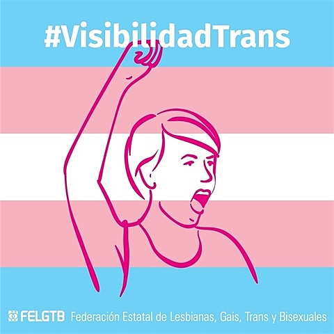Países latinos reconocen población Transexual