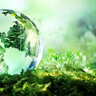 Timeline: Antecedentes del desarrollo sustentable