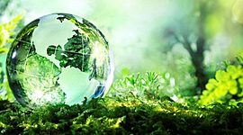 Timeline: Antecedentes del desarrollo sustentable