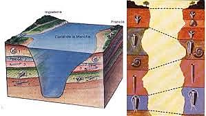 Principio de Sucesión Faunistica
