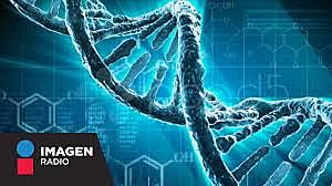 El genoma humano completo