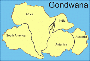 Gondwana