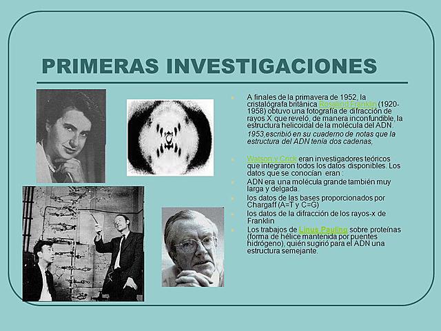 Investigaciones de ADN.