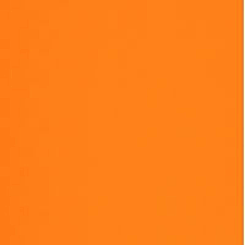 Golpe de Estado de Rivera