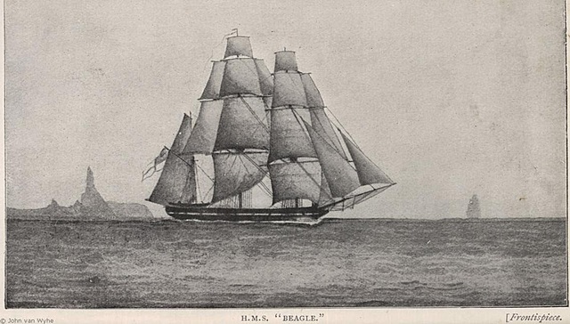 S'embarca al Beagle