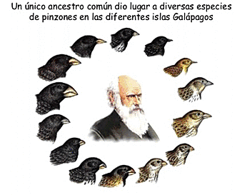 Troballes a les Illes Galápagos