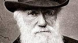 Timeline: Darwin