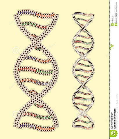 EL FRIJOL DEJA MAGIA EN LA TIERRA