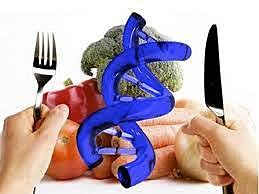 El amanecer de la Biotecnología Moderna