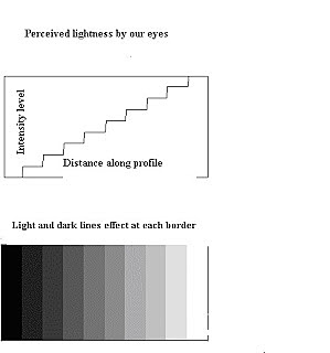 Ernst Mach (18FEB1838-19FEB1916)