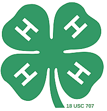 4-H Positive Youth Development Program