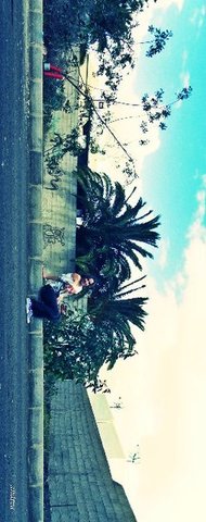 I taked photos in my house