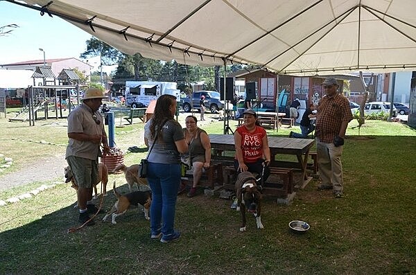 1 FESTIVAL MASCOTAS AL PARQUE
