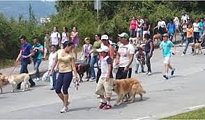 2 FESTIVAL MASCOTAS AL PARQUE