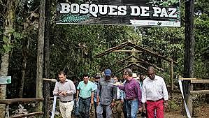 RECUPERACIONES CORREDORES ECOLÓGICOS