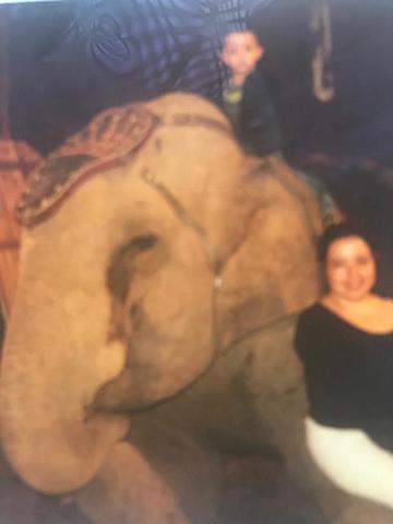 Montando un elefante