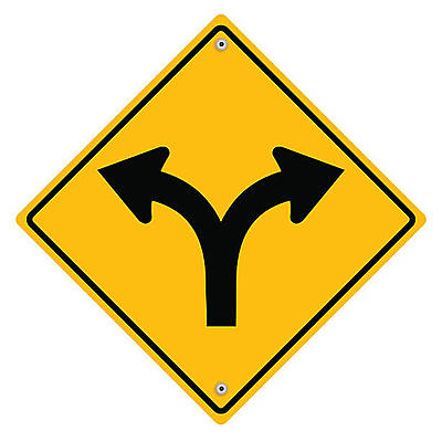 Timeline: Critical Junctures