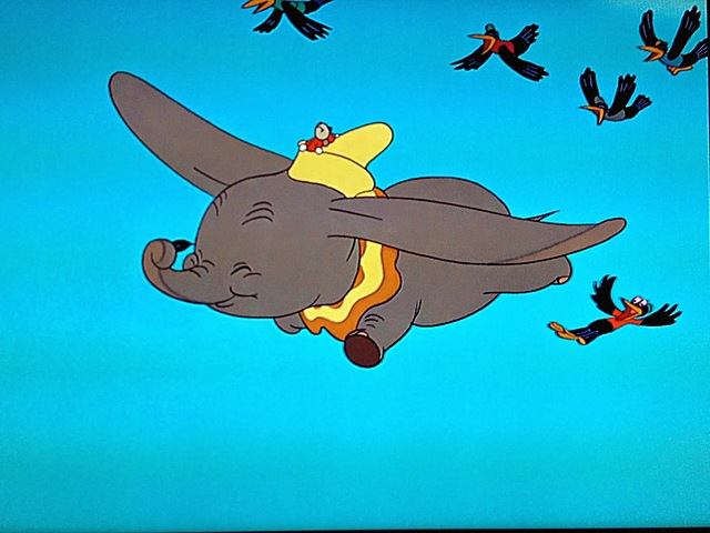 Dumbo