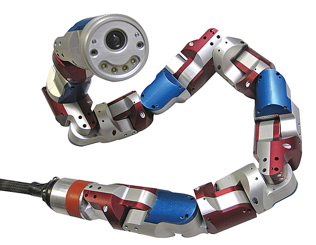 Robot serpent