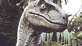 Timeline: LA HISTORIA DE LA TIERRA: ERAS