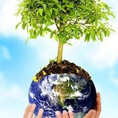 Timeline: VIDA EN LA NATURALEZA