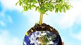 Timeline: VIDA EN LA NATURALEZA